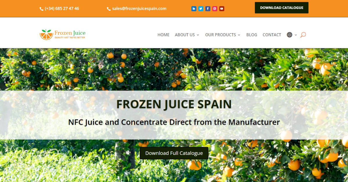 Case Study Frozen Juice Spain Freelance PPC Specialist