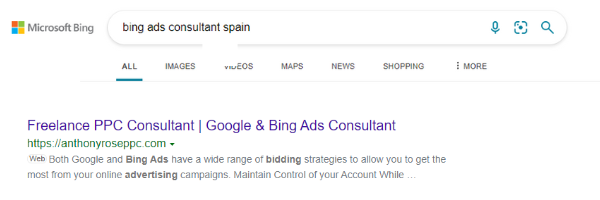 Hiring a Bing Ads Freelancer Search Results